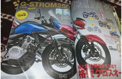 Suzuki-G-Strom250-400x260_c.jpg image