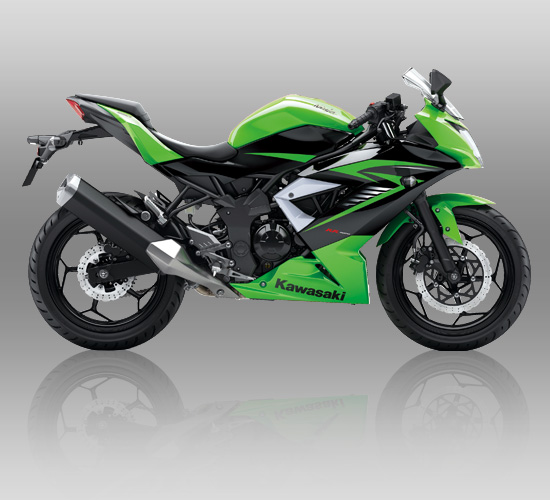 rrmono_lim_16.jpg image