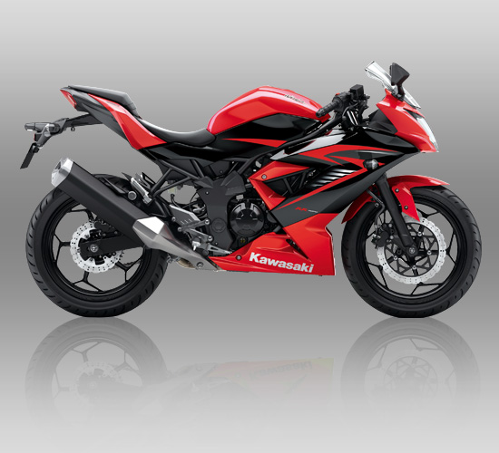 rrmono_red_16.jpg image