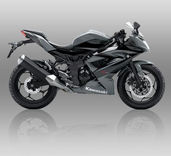 rrmono_sil_16.jpg image