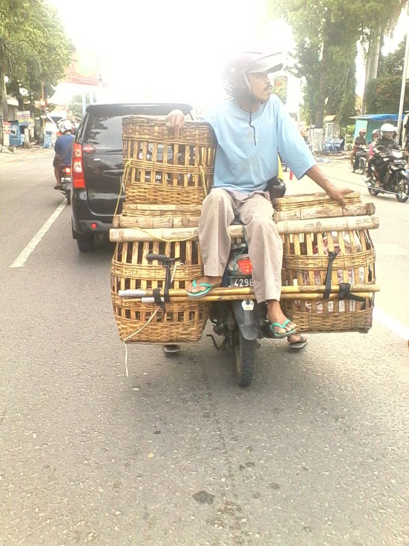 IMG-20151205-WA0041.jpg image