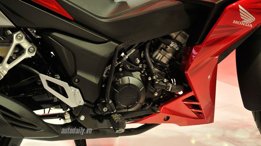 Winner-(5).jpg image