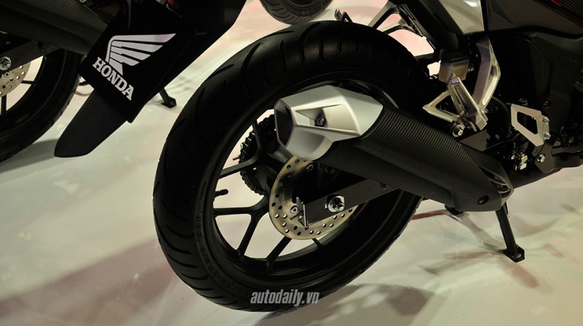 Winner-(8).jpg image